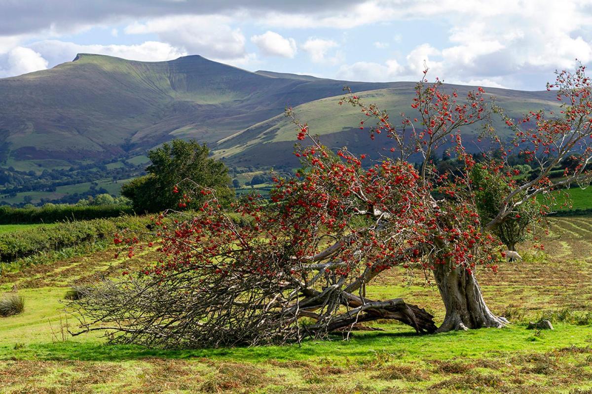 Picturesque 2 Bedroom Miners Cottage Near Bike Park Wales & Brecon Beacons Merthyr Tydfil Exterior photo